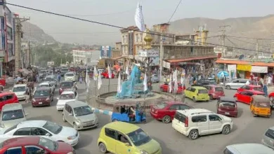 حمله سگ مشکوک به هاری در بدخشان؛ ۱۶ زن و کودک زخمی شدند 1 سایت 137