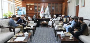 رایزنی هلال احمر افغانی و صلیب سرخ برای گسترش کمک‌های بشردوستانه