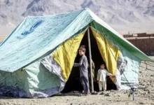 هشدار مجدد سازمان ملل درباره وضعیت سرپناه عودت کنندگان 2 سایت 154