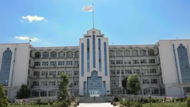 سایت 195