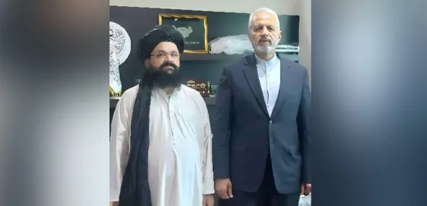 سایت 203
