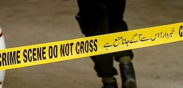 سایت 230