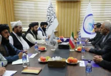 سایت 237