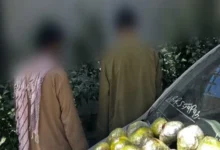 کشف ۱۴۳ کیلوگرام تریاک و بازداشت شش قاچاقبر در تخار 2 سایت 239