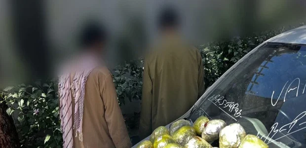 سایت 239