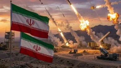 سایت 244