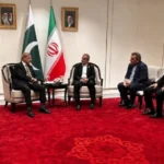 سایت 252
