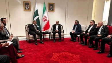 سایت 252