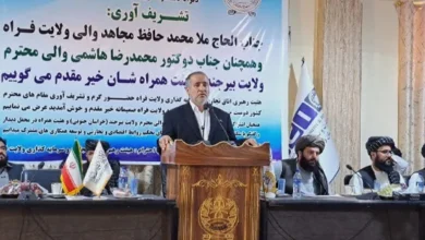 تقویت همکاریهای مرزی و اقتصادی در نشست مشترک فراه و خراسان جنوبی 10 سایت 4