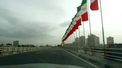 سایت 49