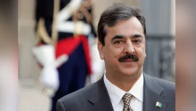 سایت 81