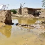 سیل
