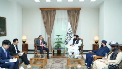 افغانستان و چین بر گسترش روابط و همکاریها تأکید کردند 3 HSBBvUbWkAEr46D