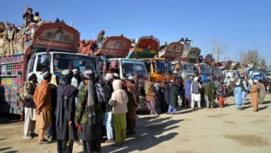 Refugee1 1024x576 1