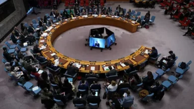 شورای امنیت نام تیتیپی و حضور آن در افغانستان را در بیانیه مبارزه با تروریزم گنجاند 6 United Nations Security Council