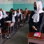 سایت 114