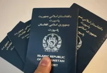 مهلت تمدید ویزای پاسپورتهای خانواری تا پایان میزان اعلام شد 2 سایت 127