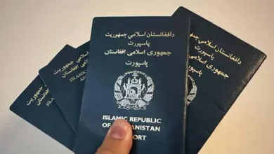 مهلت تمدید ویزای پاسپورتهای خانواری تا پایان میزان اعلام شد 2 سایت 127