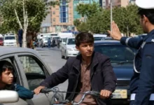 سایت 135