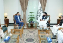 متقی و رییس دفتر کمیساریای پناهندگان درباره بازگشت مهاجران دیدار کردند 2 سایت 154