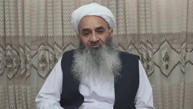 سایت 161