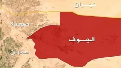 ارتش یمن یک پهپاد شناسایی سعودی را سرنگون کرد 2 سایت 174