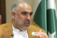 انتقاد تند نمایند مجلس پاکستان از مریم نواز؛ باید از سخنانش شرم کند 3 سایت 175