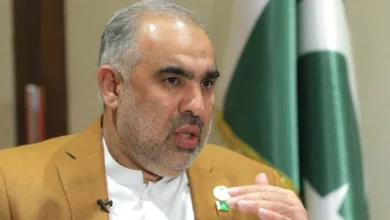 انتقاد تند نمایند مجلس پاکستان از مریم نواز؛ باید از سخنانش شرم کند 1 سایت 175