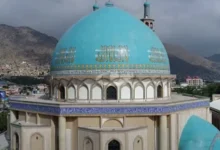 سایت 194