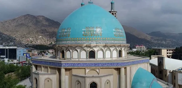 سایت 194