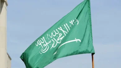 سایت 198