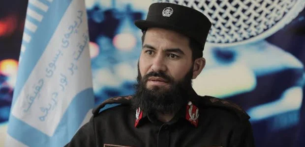سایت 203