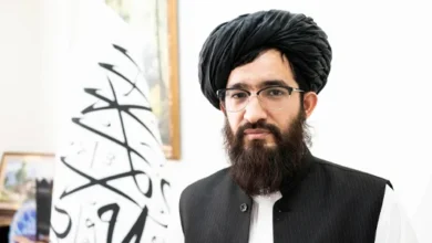 سایت 206