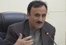 سایت 213