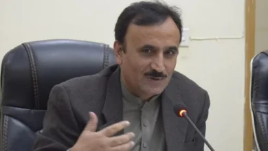 سایت 213