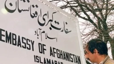 سایت 215