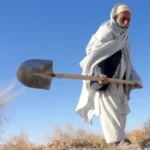 سایت 229