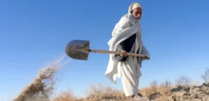 سازمان ملل: کشاورزان افغانستان با مشکلات زیادی روبه‌رو هستند