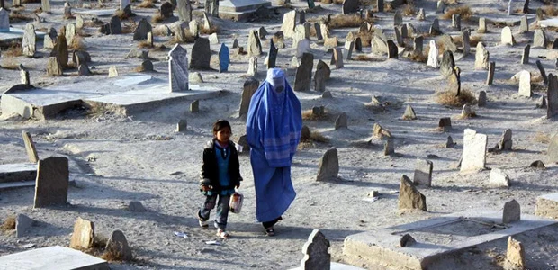 سایت 23