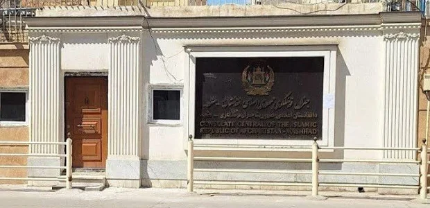 سایت 236