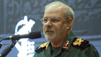 سایت 247