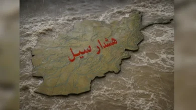 سایت 25