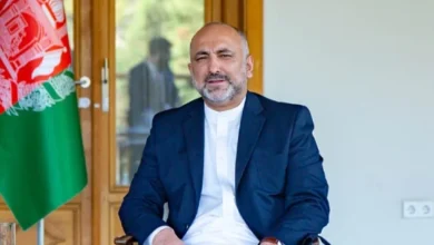 سایت 255