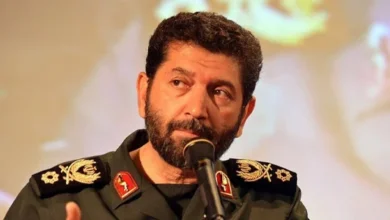 سایت 261