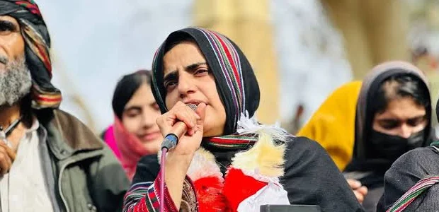 سایت 313