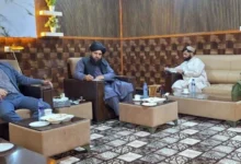 سایت 316