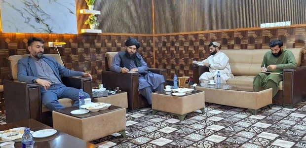 سایت 316