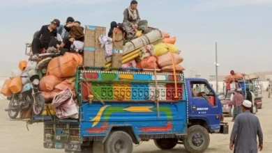 بازگشت ۱۳۷ خانواده از ایران و پاکستان؛ ۹۷ خانواده به ولایتها منتقل شدند 9 سایت 317