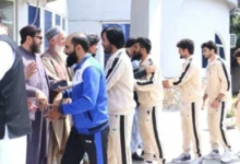 سایت 367
