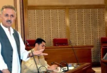 نماینده پارلمان بلوچستان: هزاران سرباز پیشین افغانستان به مرز منتقل شدهاند 2 سایت 37